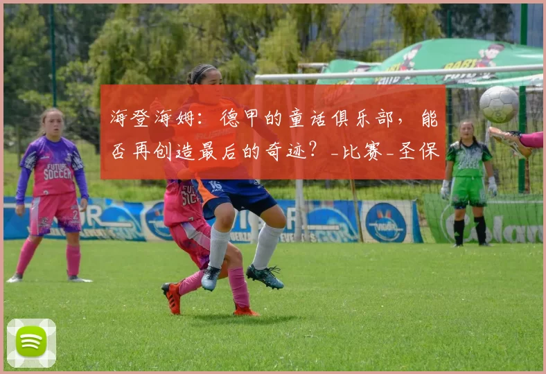 海登海姆：德甲的童话俱乐部，能否再创造最后的奇迹？_比赛_圣保利_赛季