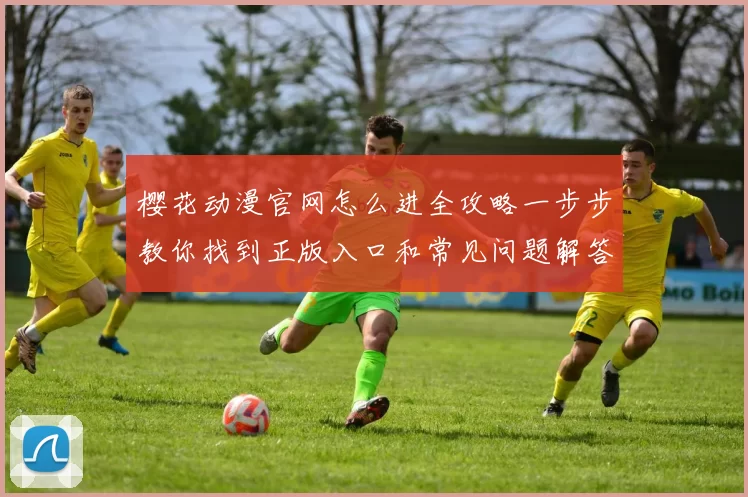 樱花动漫官网怎么进全攻略一步步教你找到正版入口和常见问题解答