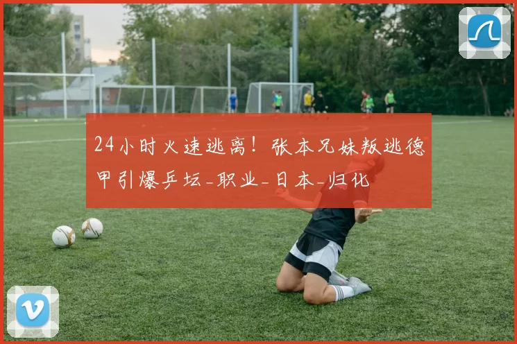 24小时火速逃离!张本兄妹叛逃德甲引爆乒坛_职业_日本_归化