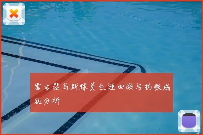 雷吉瑟乌斯球员生涯回顾与执教成就分析